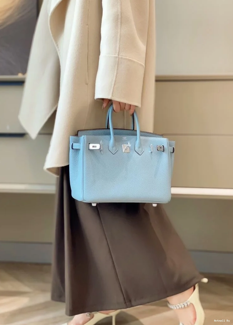 Birkin Bags Hermes Popular 48980 0702